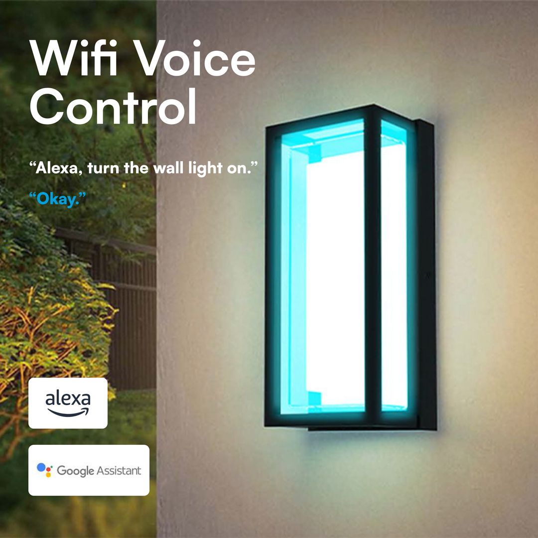 Outdoor Wall Light, CCT+RGB, Dimmable, Mobile App Controlled Smart LED