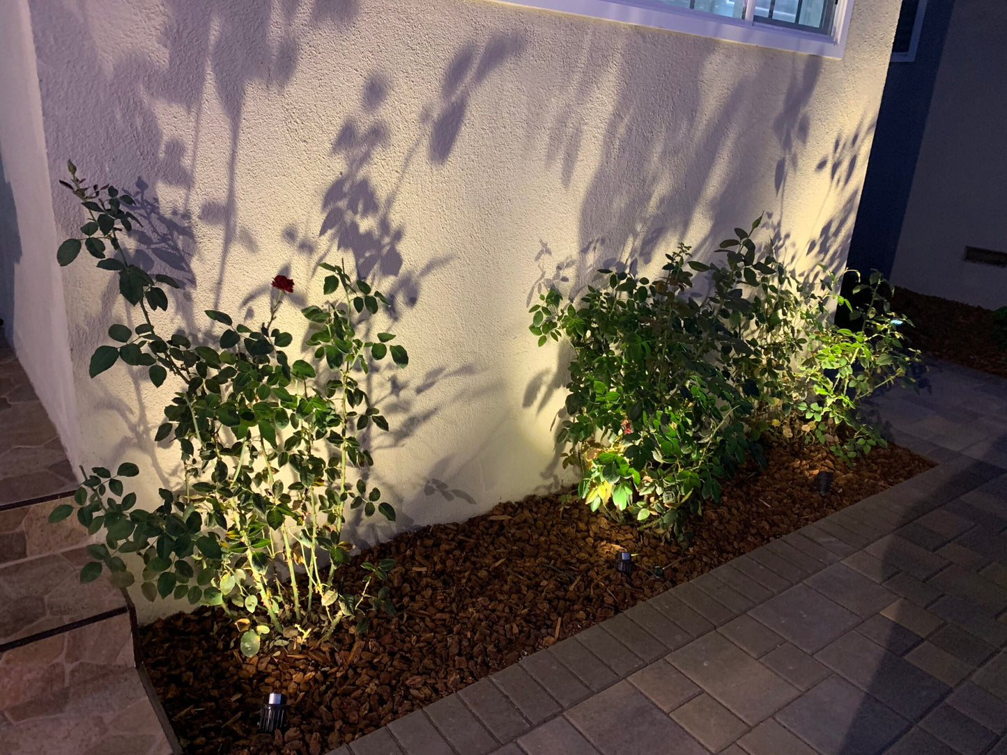 CD43- Aluminum Spot Light