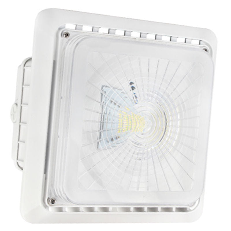 LED Garage/Canopy Lights - 55W - CGL