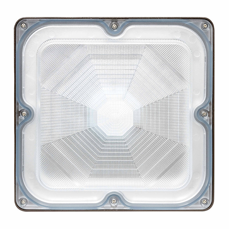 CDLX LED Power Adjustable Low Profile Canopy/Garage Light