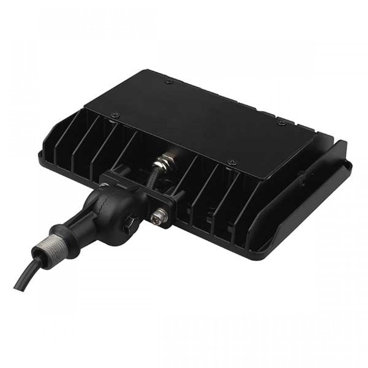 Flood Light 50W KN