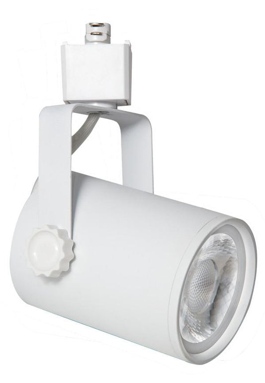 LED Stein Track Fixture