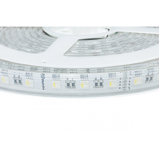 Outdoor Color Changing True White RGBW 4.4W/FT 24V DC IP67 LED Strip