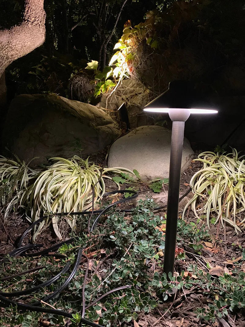 Clear Brass Path Light - PLB02